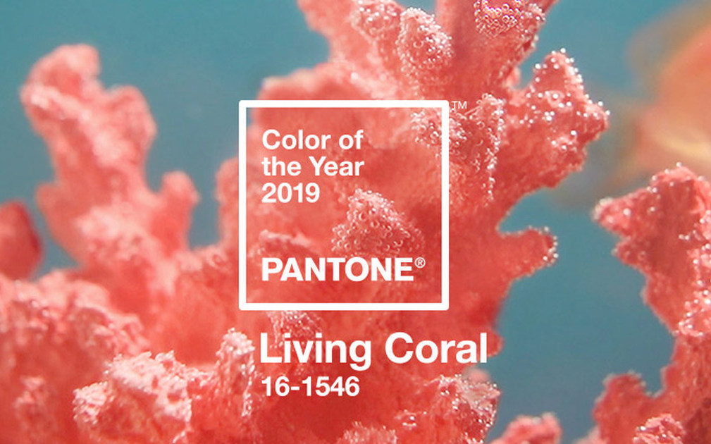 Pantone 2019 Color of the Year: Living Coral